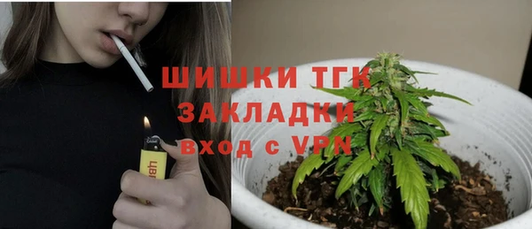 спиды Заводоуковск