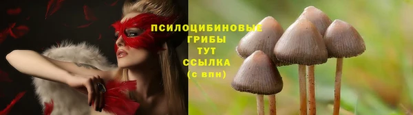 спиды Заводоуковск