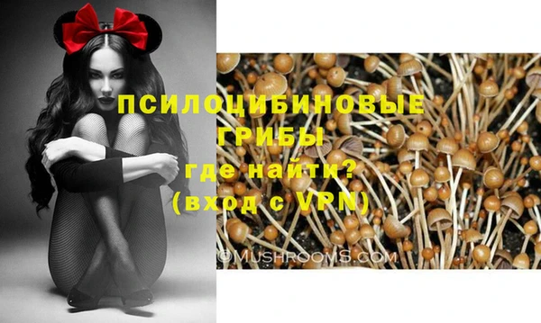 герыч Ростов