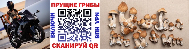 Галлюциногенные грибы прущие грибы  хочу наркоту  Славск 